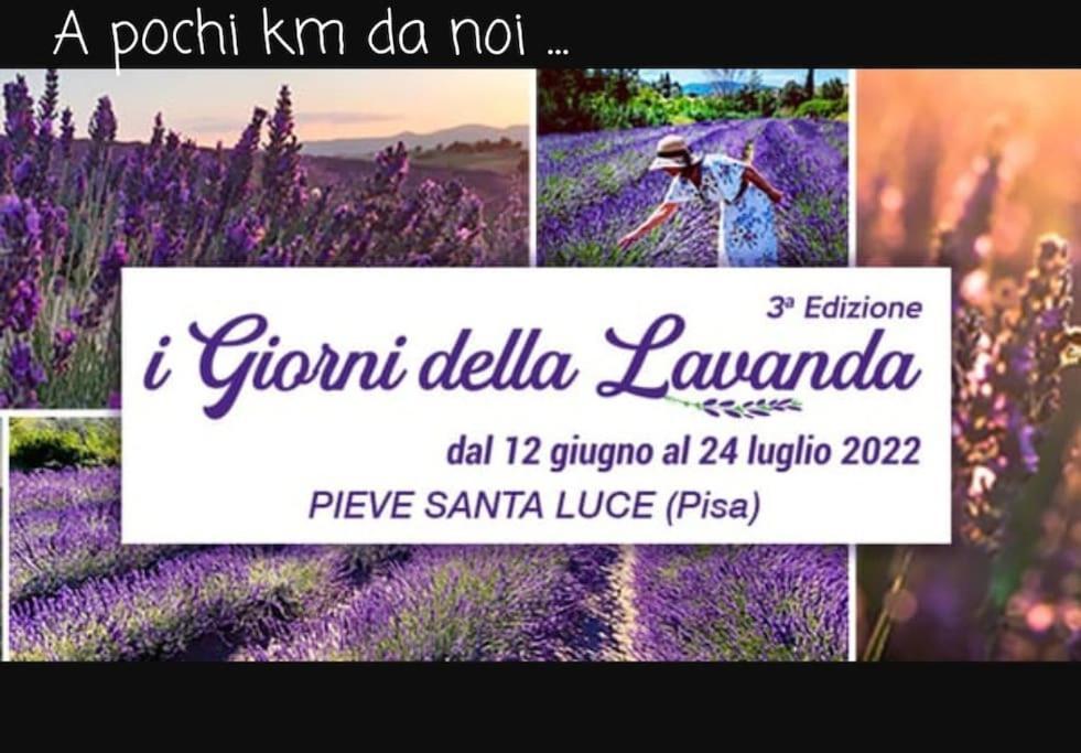 Appartamento Bellavista Castellina Marittima Kültér fotó