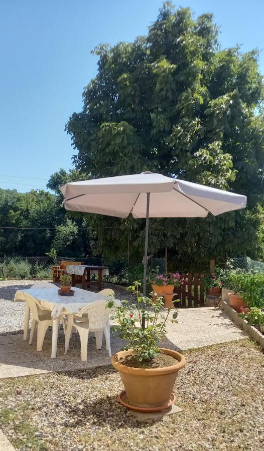 Appartamento Bellavista Castellina Marittima Kültér fotó